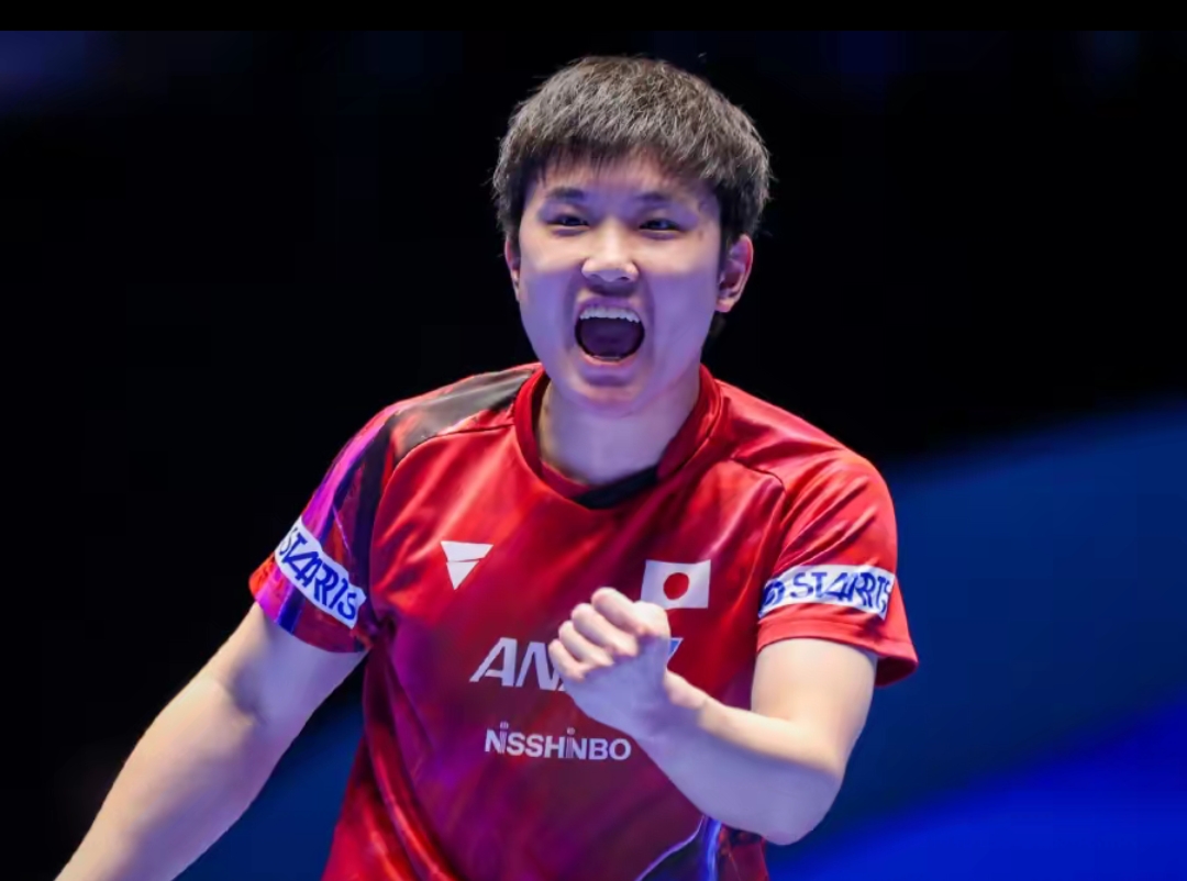 沙特足球的 沙特足球的